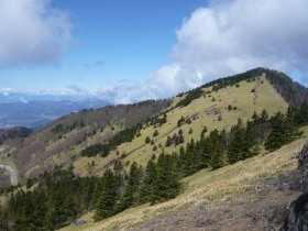 ゴルフ場のような