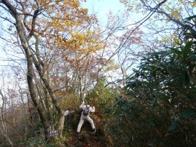 雲母峰への分岐