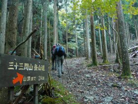 登山道の標識