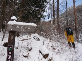 本当の登山口