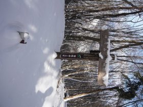 尾根に上がってきました。