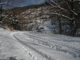 車道にでました。