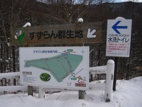 すずらん群生地