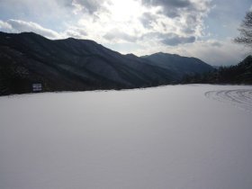 雪原