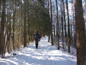 これでも尾根道