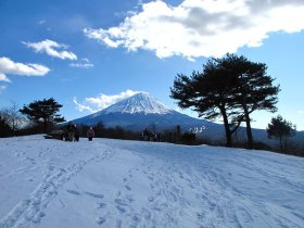 ◎富士山