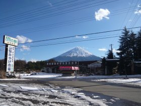 戻ってきました