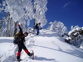 青空とおばさん