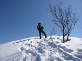 ひっくり返るぅ