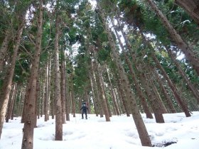 ショートカット