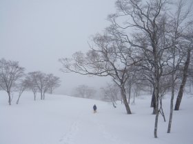 どこに向かえば