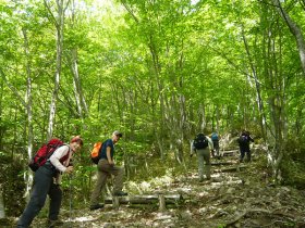 新緑に包まれて