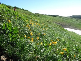 八兵衛平（白高地）