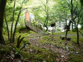 降りてきました