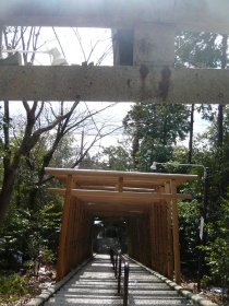 鳥居オンパレード