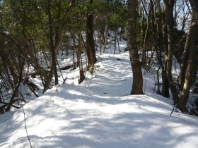 バージンスノー