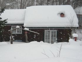 メルヘンだなぁ。