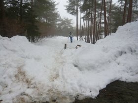 除雪はここまで