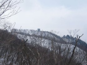 反射板が見えた