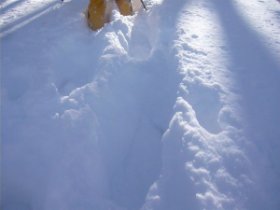 スノーシューで