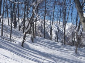 スッキリしない