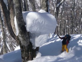 ツリーテーブル