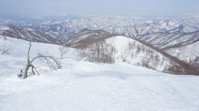 主稜線とお別れ