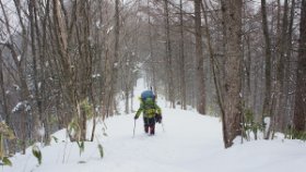 雪が降ってきた