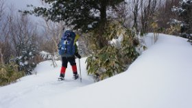 たぶん休憩ポイント