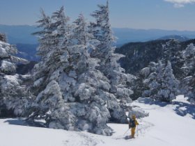 トレースを辿る