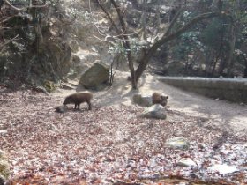 やっぱり出会いました