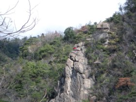 ◎キャッスルウオール