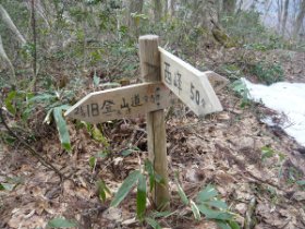 旧登山道分岐