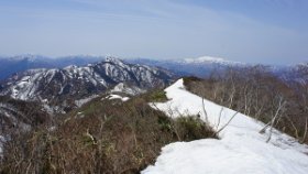 バージンロード