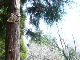 花房山1/2