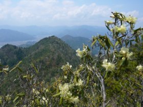 つつじが丘展望所
