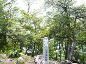 この分岐の案内を(-