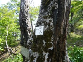 行者還分岐に戻ってきました