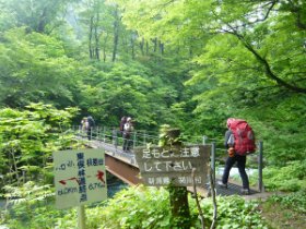 東股林道１号橋
