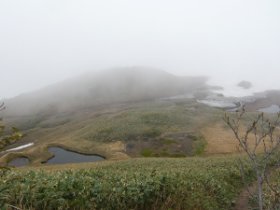 長者平の湿原