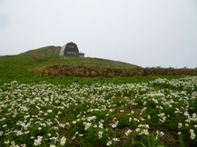 エブリサシ小屋
