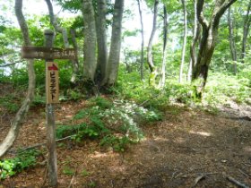 メインルートと合流