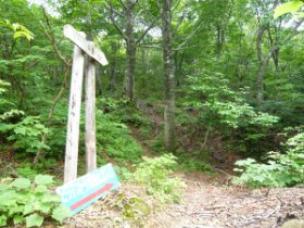 林道に降りてきました