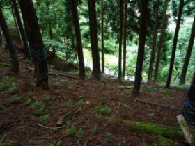 もうすぐ降りれます