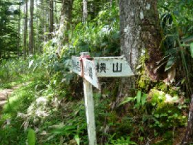 横山　分岐