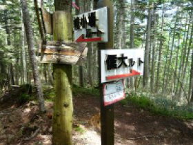 信大ルート分岐