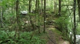 西駒演習林管理所