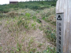 ☆小桜平避難小屋