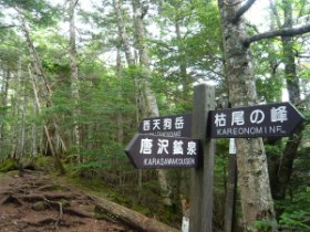 尾根に上がりました