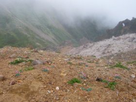 ☆コマクサの斜面